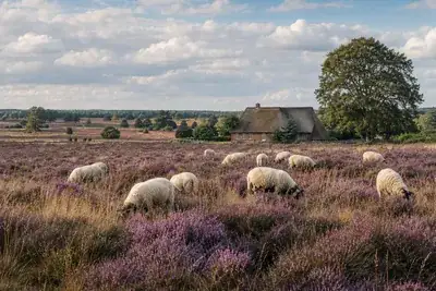 Landschaft in Niedersachsen