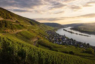 Landschaft in Rheinland-Pfalz