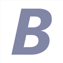 Logo Bonn-Netz GmbH