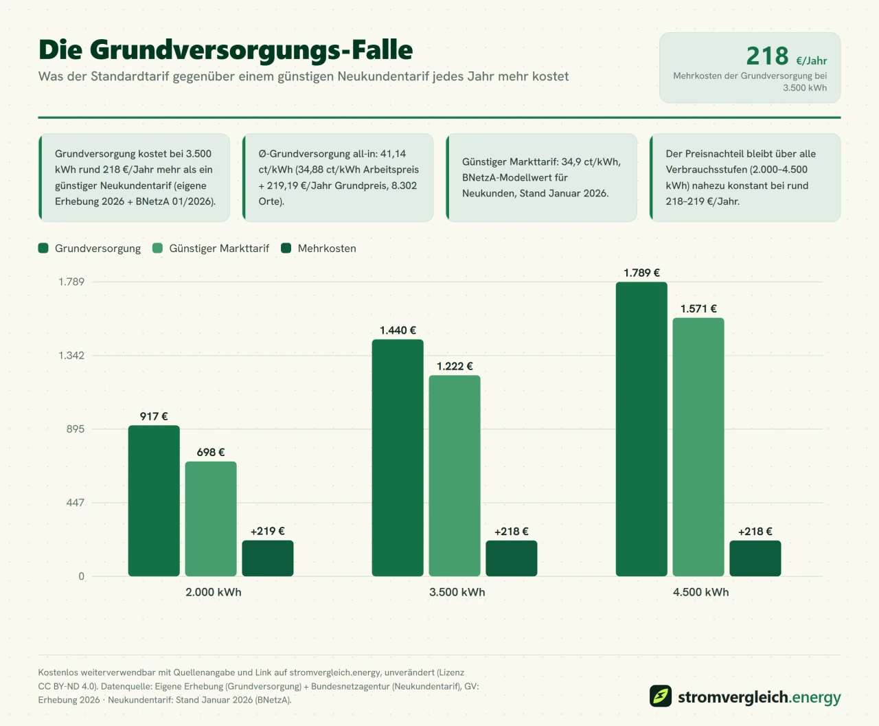 Die Grundversorgungs-Falle, Was der Standardtarif gegenüber einem günstigen Neukundentarif jedes Jahr mehr kostet