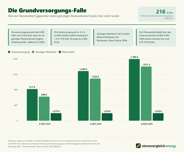 Die Grundversorgungs-Falle